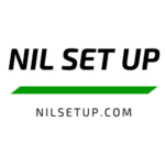 nilsetup.com | logo